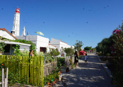 Ilha do Faro Rio Formosa, Faro