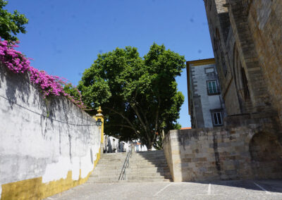Evora
