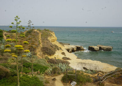 Albufeira scogliera davanti Auramar Beach resort