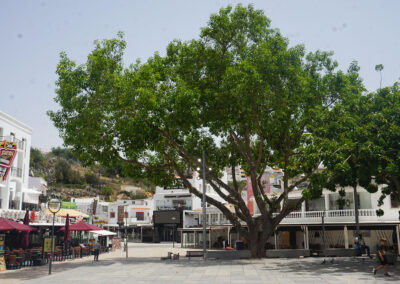 Albufeira Largo Eng Duarte Pacheco