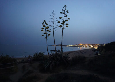 Albufeira Praya di notte
