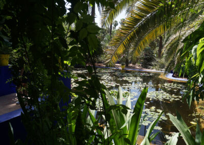 Jardin Majorelle, Marrakech
