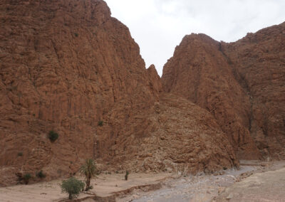 Gole di Todra (Todra Gorges)