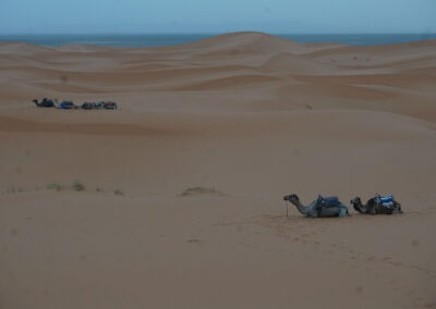 LE Dune di Erg Chebbi, Deserto del Sahara, Merzouga