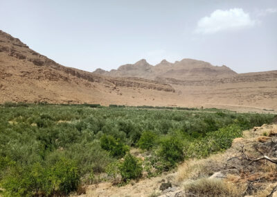 Gorges du Ziz
