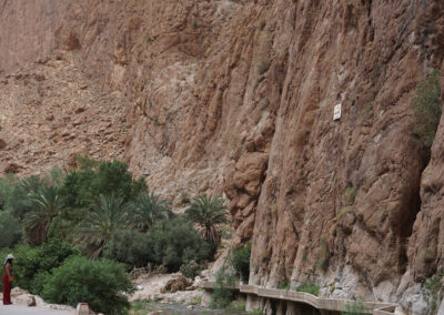 Gole di Todra (Todra Gorges)