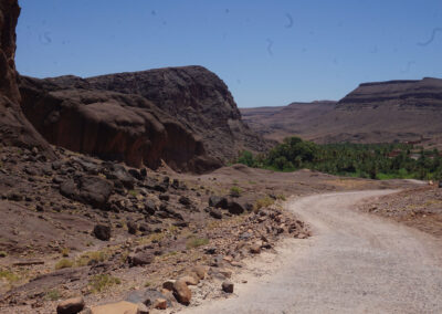 Oasi di Fint; Ouarzazate