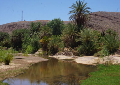 Oasi di Fint; Ouarzazate