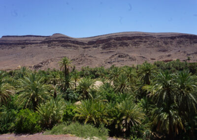 Panorama Terrasse Des Delices, Oasi di Fint, Ouarzazate