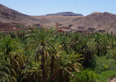 Panorama Terrasse Des Delices, Oasi di Fint, Ouarzazate