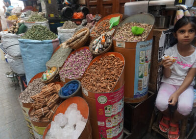 Medina El Mellah, Marrakech