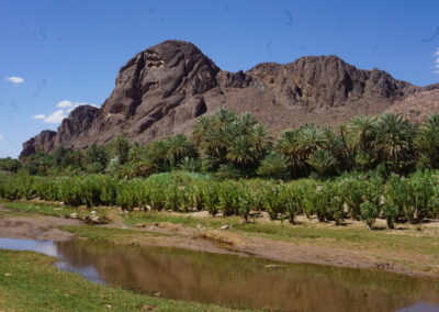 Oasi di Fint, Ouarzazate