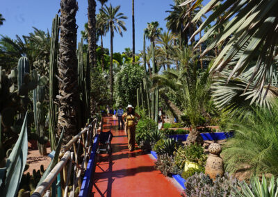 Jardin Majorelle, Marrakech