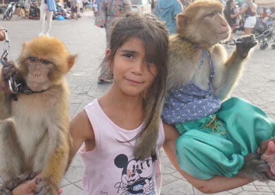 Scimmie in Piazza Jeema el Fna, Marrakech