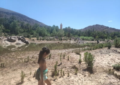 Oasi di Fint, Ouarzazate