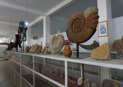 Tahiri Museum of Fossils, Erfoud