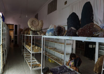 Tahiri Museum of Fossils, Erfoud