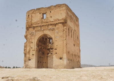 Tombe Merinidi, Fes