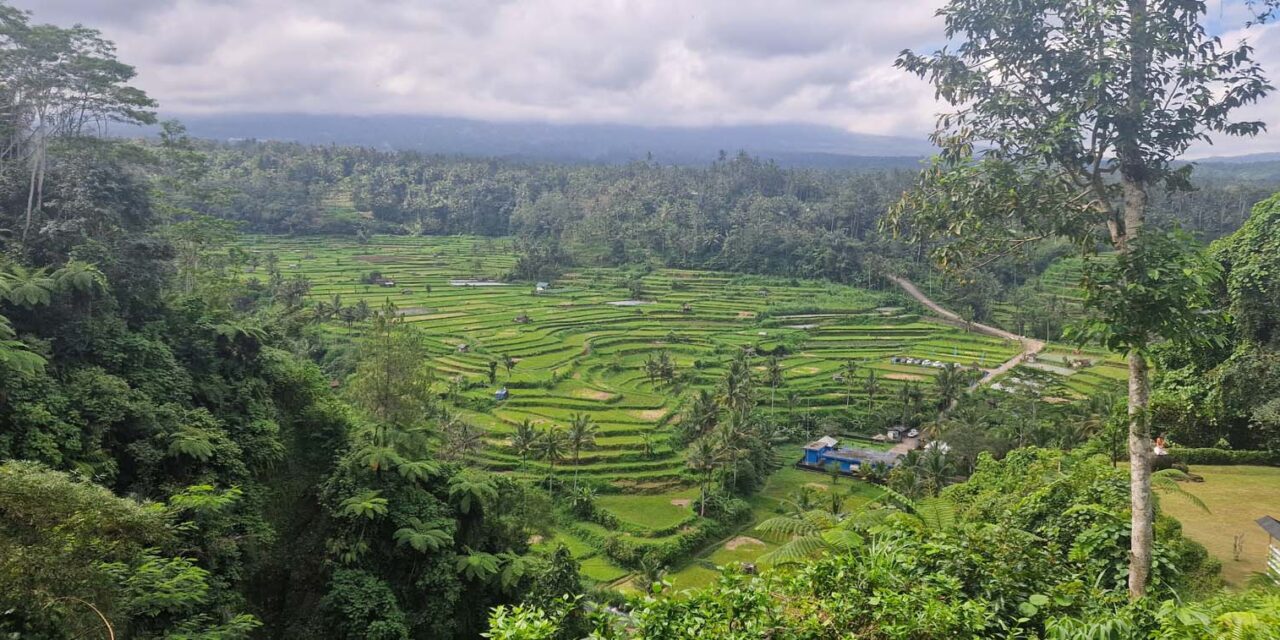 Diario di viaggio a Bali II parte