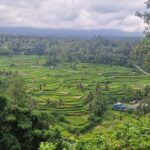 Diario di viaggio a Bali II parte