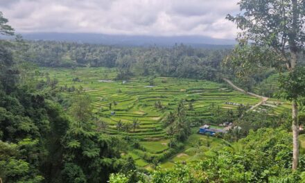 Diario di viaggio a Bali II parte