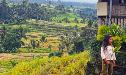 Diario di viaggio a Bali II parte