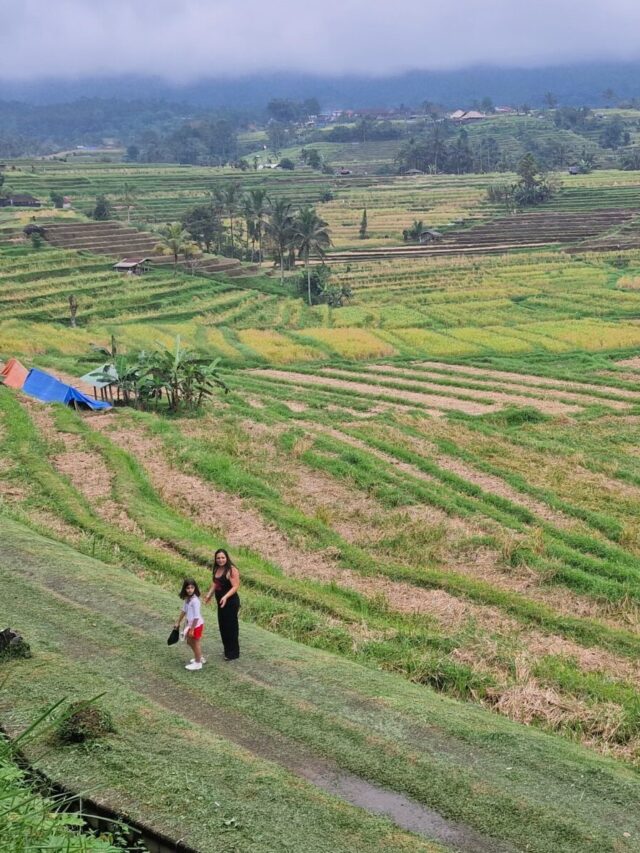 Cosa vedere a Bali – 2025 –