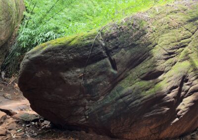 Testa Naga, Naga Cave, Parco Nazionale di Phu Langka, Bueng Khan, Thailandia